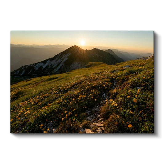 Alpin Çiçekleri - Dağ Zirvesinde Gün Batımı Kanvas Tablo