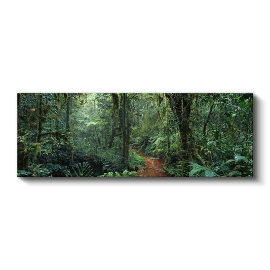 Yağmur Ormanı - Yeşilin Bin Tonu Kanvas Tablo
