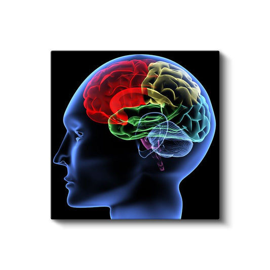 Beyin Cerrahı - Zihin Haritası Kanvas Tablo