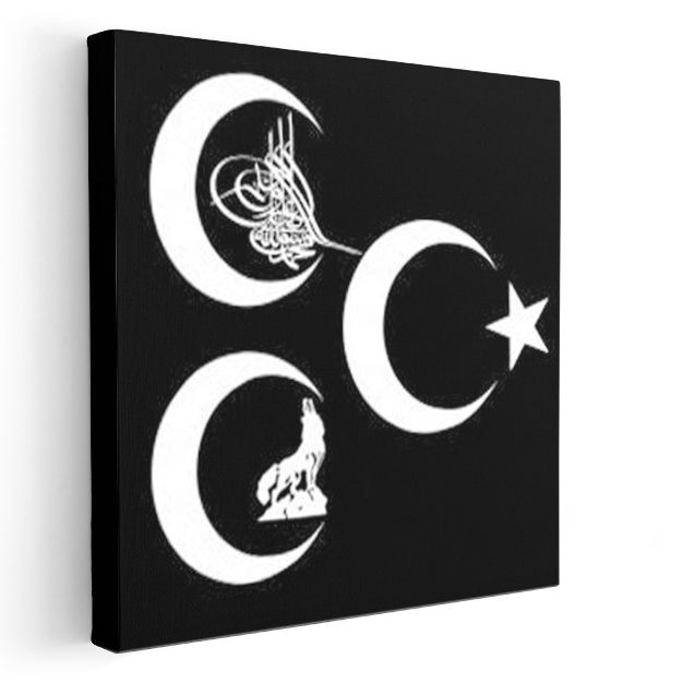 Osmanlı Sembolleri - Hilal ve Tuğra Kompozisyonu Kanvas Tablo