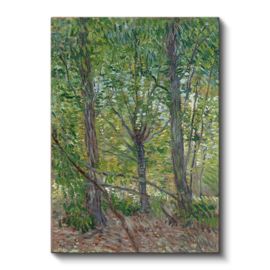 Vincent van Gogh - Ağaçlar ve Çalılıklar Kanvas Tablo