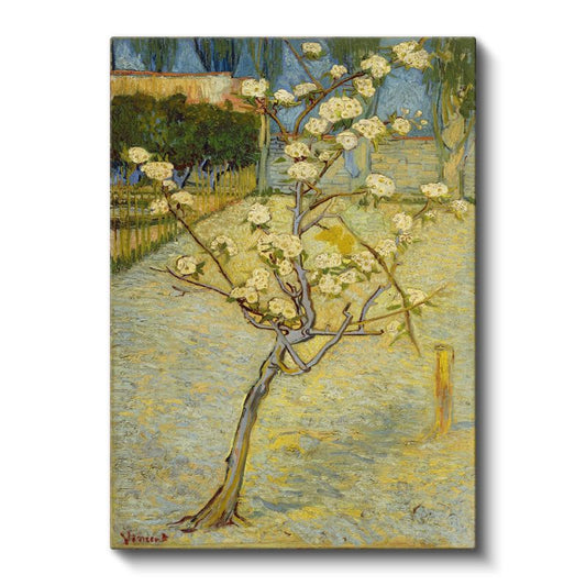 Vincent van Gogh - Çiçek Açan Armut Ağacı Kanvas Tablo