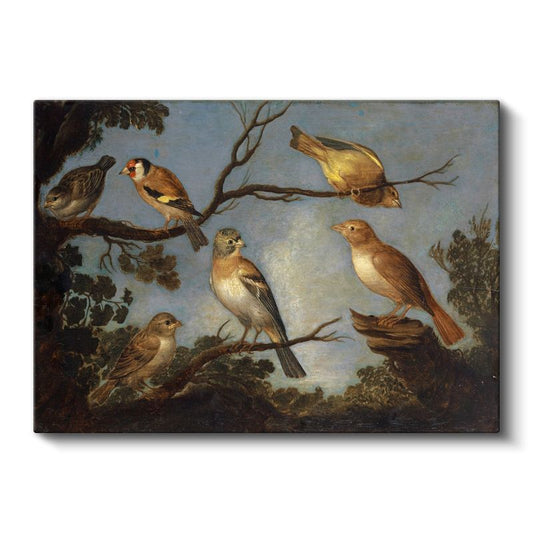 Francis Barlow - Ağaç Dallarındaki Kuşlar Kanvas Tablo