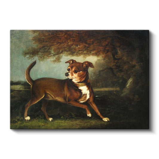 George Stubbs - Manzarada Köpek Portresi Kanvas Tablo