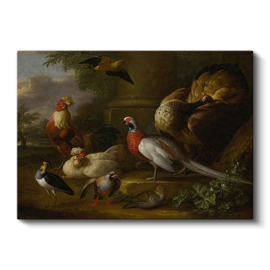 Melchior d'Hondecoeter - Avluda Kümes Hayvanları Kanvas Tablo