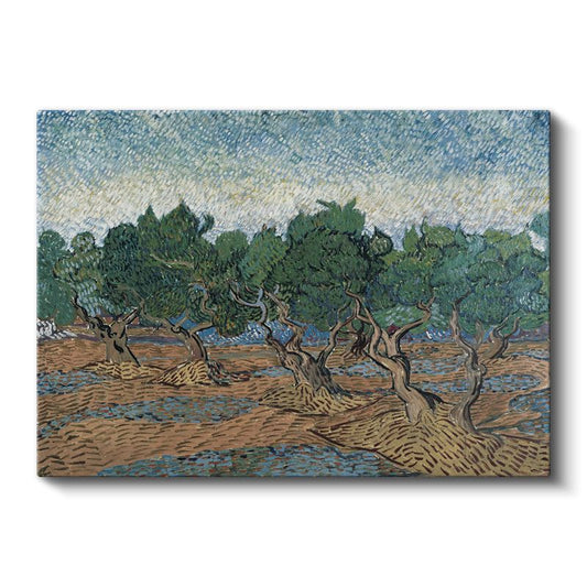 Vincent van Gogh - Zeytin Ağaçları Kanvas Tablo
