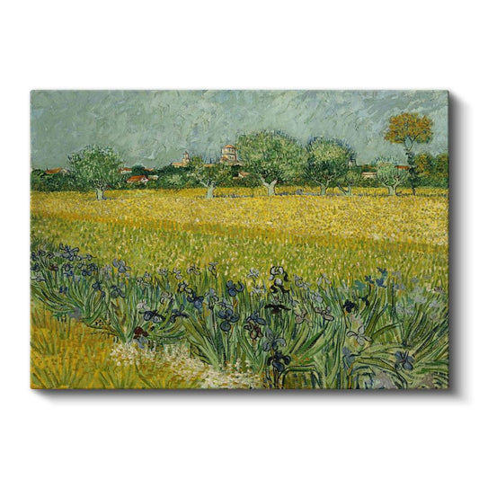 Vincent van Gogh - Arles Yakınlarında Süsenli Tarla Kanvas Tablo