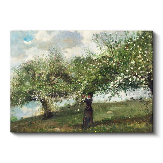 Winslow Homer - Çiçek Açmış Ağaçlar Kanvas Tablo