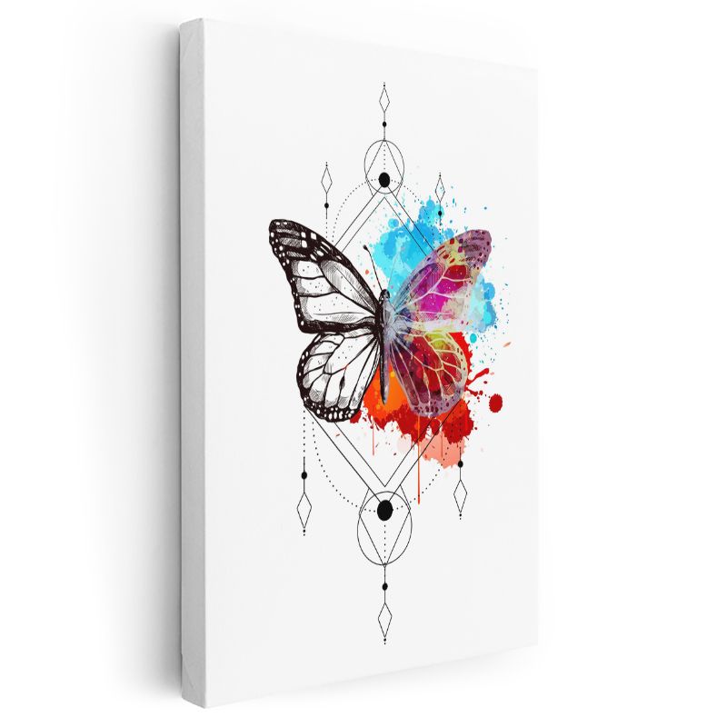 Dönüşüm Kelebeği - Geometrik Çerçeveli Renkli Sıçrama Detaylı Kanvas Tablo