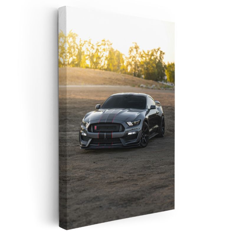 Ford Mustang Shelby GT350 - Yarış Çizgili Spor Otomobil Kanvas Tablo
