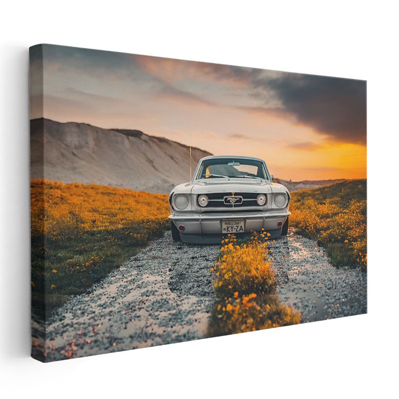 Ford Mustang Klasik - Beyaz Amerikan Muscle Car Kanvas Tablo
