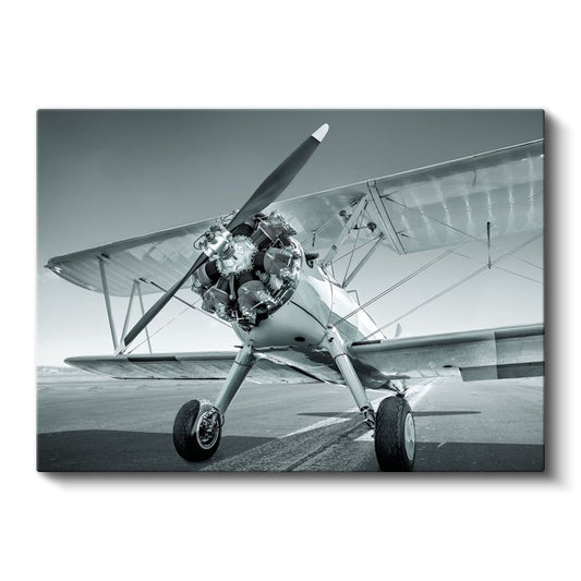 Klasik Pervaneli Uçak - Nostaljik Havacılık Tasarımı Kanvas Tablo