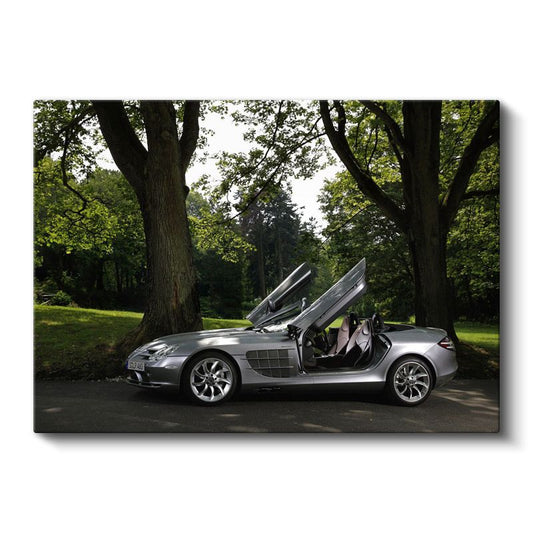 Mercedes-Benz SLR McLaren - Kelebek Kapılarıyla Doğada Lüks Kanvas Tablo