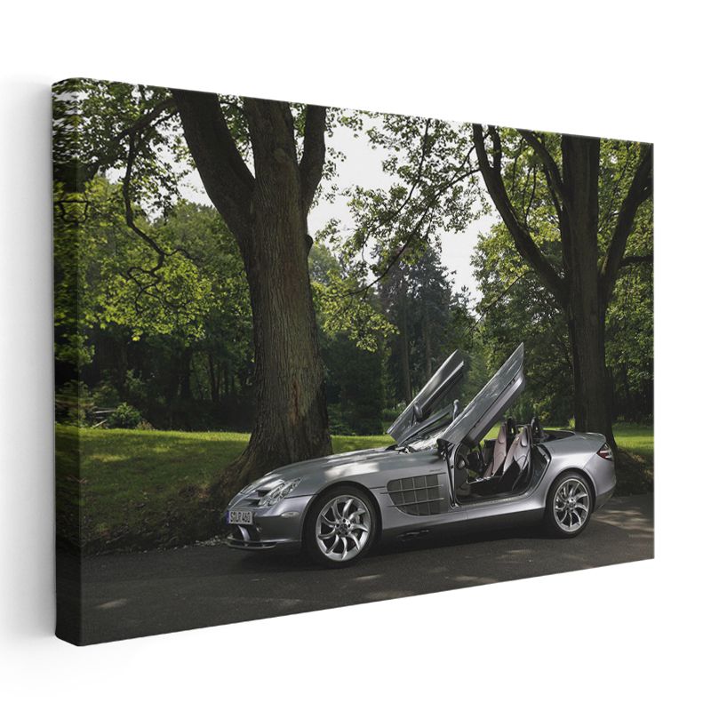 Mercedes-Benz SLR McLaren - Kelebek Kapılarıyla Doğada Lüks Kanvas Tablo