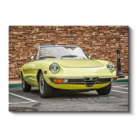 Alfa Romeo Spider - İtalyan Klasik Cabrio Otomobil Kanvas Tablo