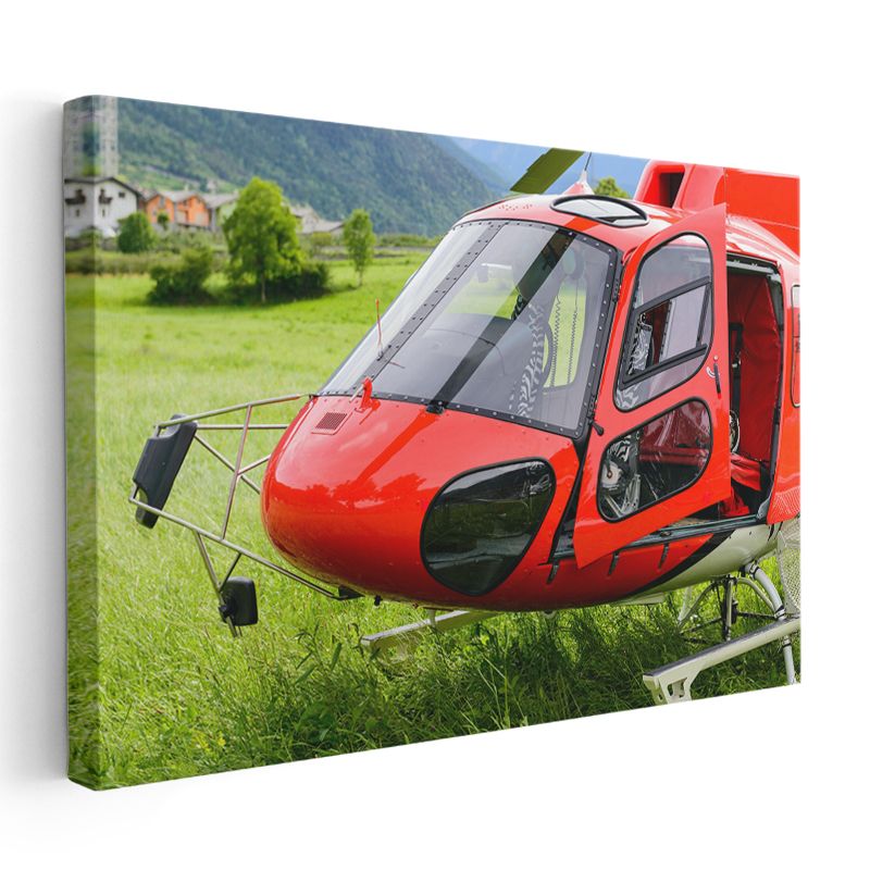 Kırmızı Helikopter - Doğada Havacılık Teknolojisi Kanvas Tablo