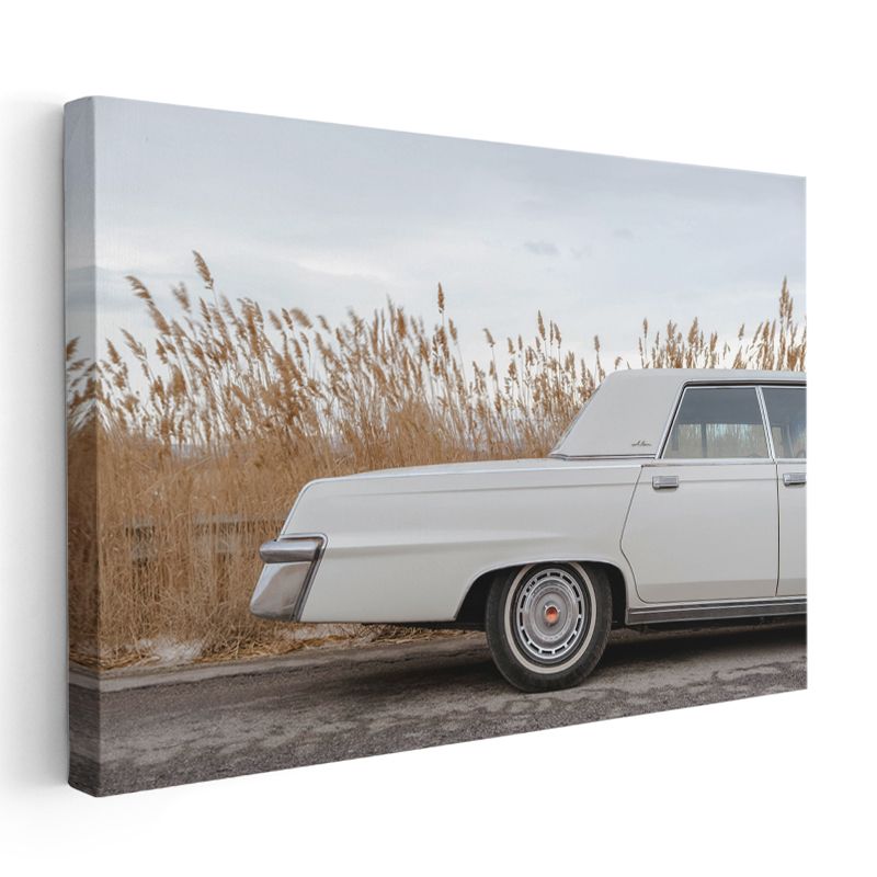 Cadillac DeVille - Beyaz Amerikan Klasiği Kanvas Tablo