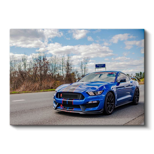 Ford Mustang Shelby GT350 - Mavi Yarış Şeritleri Spor Otomobil Kanvas Tablo