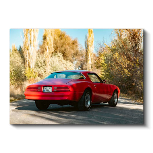 Pontiac Firebird - Kırmızı Amerikan Klasiği Kanvas Tablo