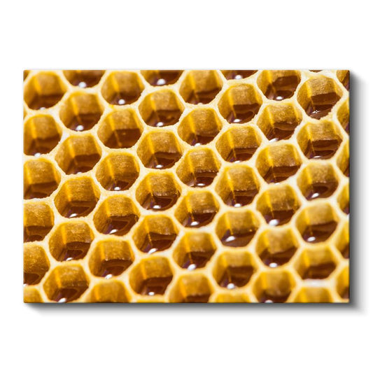 Bal Peteği - Doğal Altın Doku Kanvas Tablo