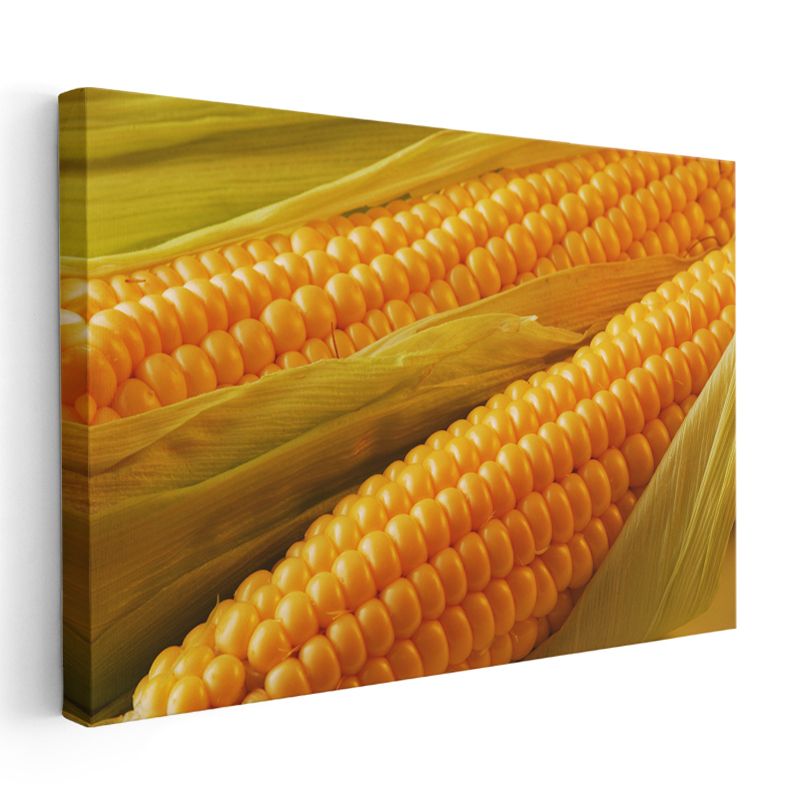 Altın Mısır - Taze Hasat Kanvas Tablo