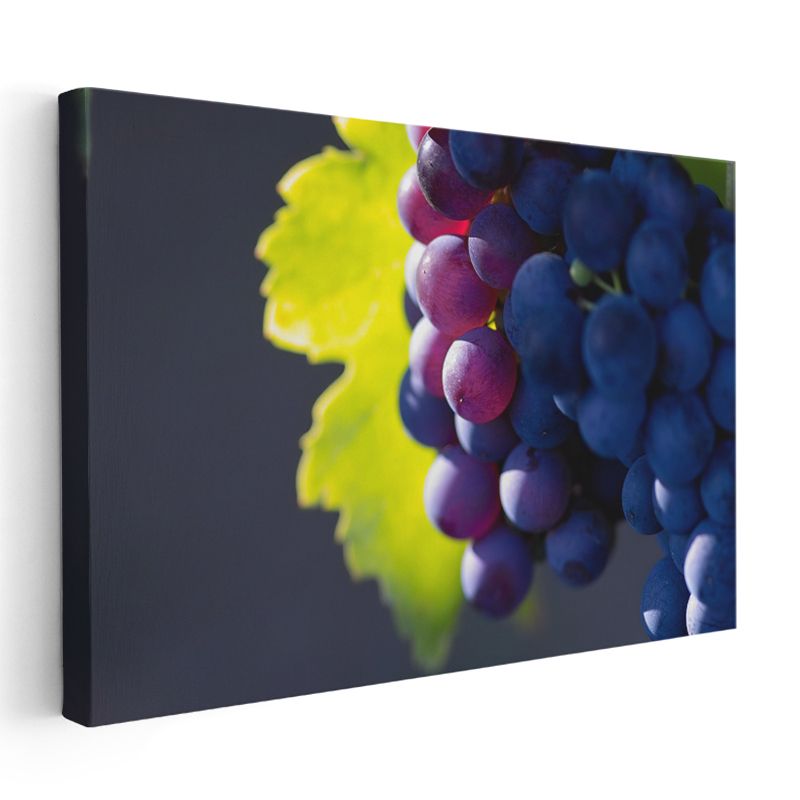Üzüm Salkımı - Bağbozumu Meyvesi Kanvas Tablo