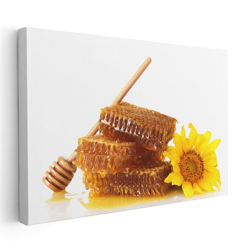 Bal Peteği - Doğal Tatlı Hazinesi Kanvas Tablo