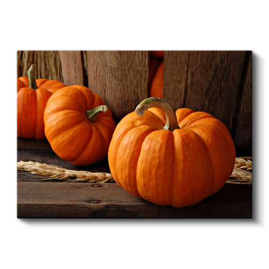 Balkabağı - Turuncu Sonbahar Lezzeti Kanvas Tablo