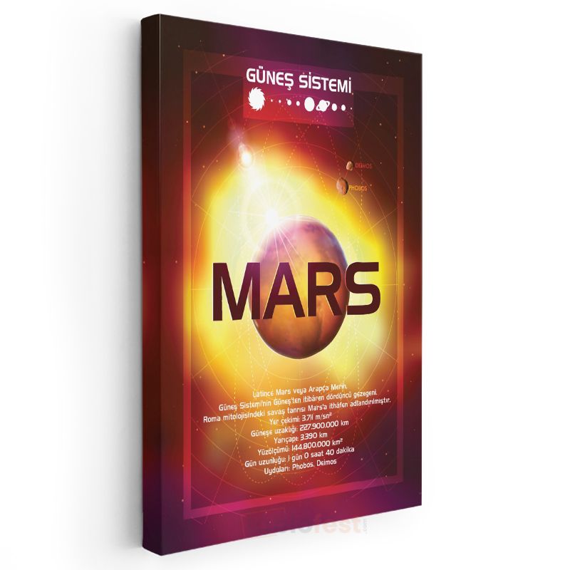 Mars - Güneş Sistemi Bilgi Tablosu Kanvas Tablo