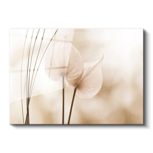 Anthurium Çiçekleri - Bej Tonlarda Minimalist Tasarım Cam Tablo