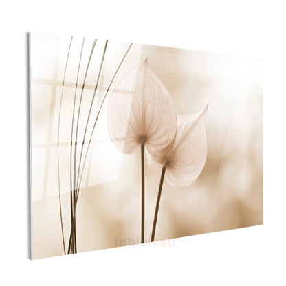 Anthurium Çiçekleri - Bej Tonlarda Minimalist Tasarım Cam Tablo
