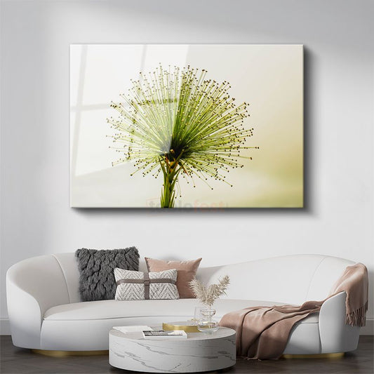 Yeşil Allium - Minimalist Tarzda Çarpıcı Bitki Portresi Cam Tablo