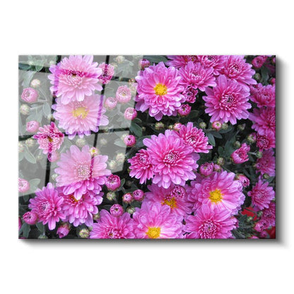 Pembe Kasımpatı - Çiçek Bahçesi Detayı Cam Tablo