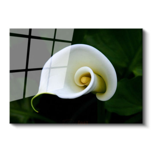 Beyaz Kalla - Minimalist Spiral Form Cam Tablo
