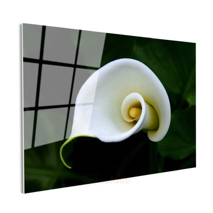 Beyaz Kalla - Minimalist Spiral Form Cam Tablo