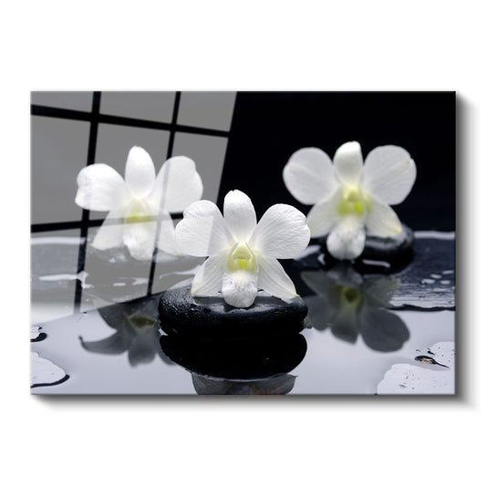 Plumeria Çiçeği - Spa Konseptli Aromaterapi Cam Tablo
