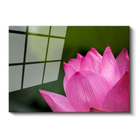 Pembe Lotus - Makro Çekim Çiçek Detayı Cam Tablo