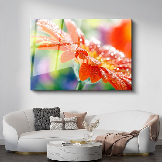 Turuncu Gerbera - Çiy Damlacıklı Çiçek Detayı Cam Tablo