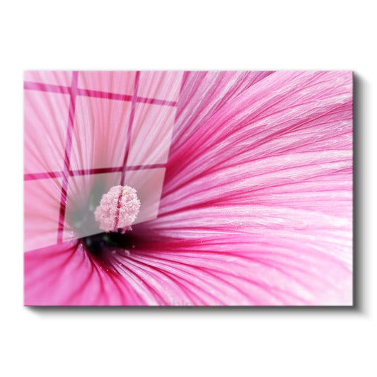 Pembe Ebegümeci - Makro Çekim Çiçek Detayı Cam Tablo