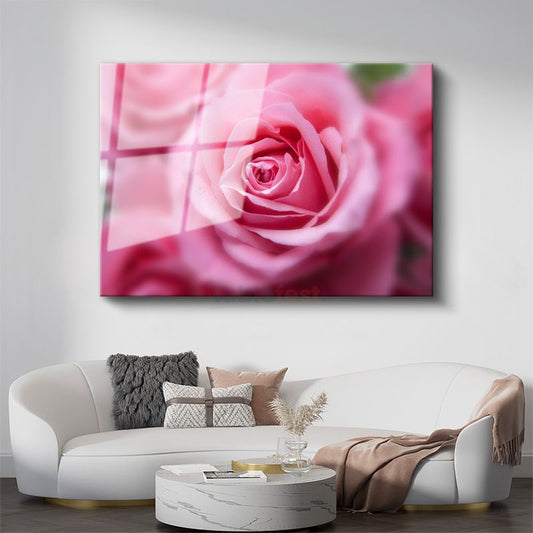 Pembe Gül - Yumuşak Odak Teknikli Çekim Cam Tablo