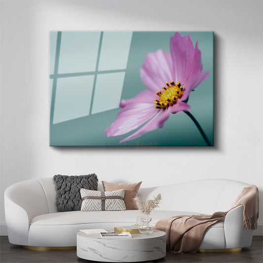 Pembe Kozmos Çiçeği - Turkuaz Fonlu Minimal Cam Tablo