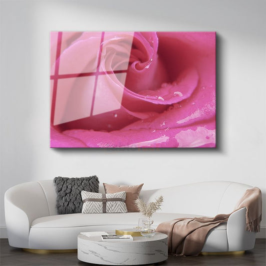Pembe Gül - Çiy Damlacıklı Makro Çekim Cam Tablo