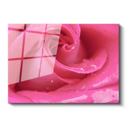 Pembe Gül - Çiy Damlacıklı Makro Çekim Cam Tablo