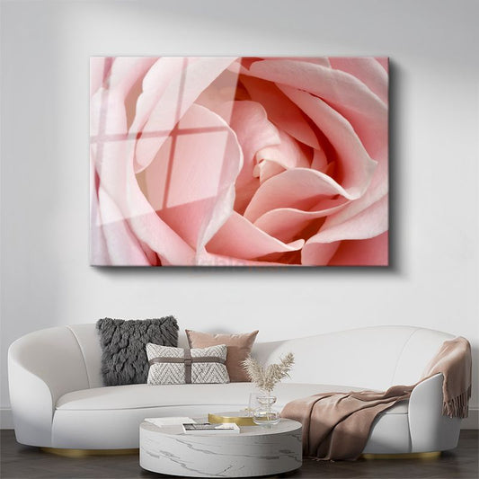 Pembe Gül - Makro Çekim Yumuşak Petal Detayları Cam Tablo