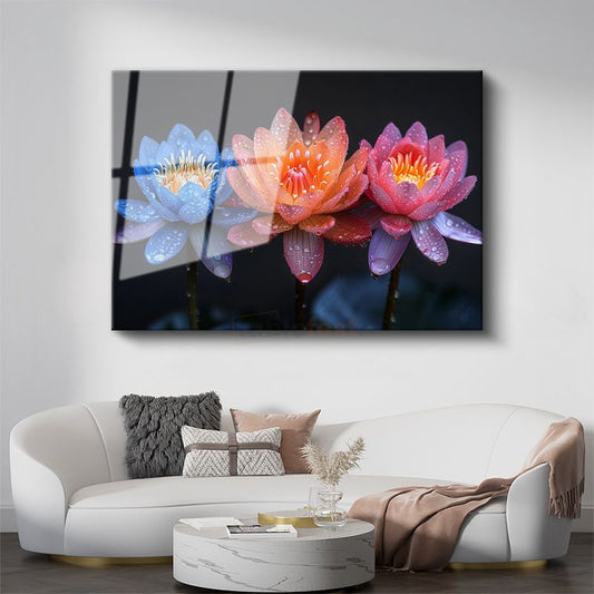 Renkli Nilüferler - Çiy Damlacıklı Üç Renk Lotus Cam Tablo
