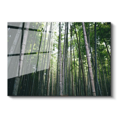 Bambu Ormanı - Göğe Uzanan Yeşil Sütunlar Cam Tablo
