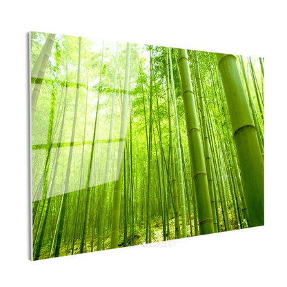 Bambu Ormanı - Canlı Yeşil Tonlarıyla Doğanın Huzuru Cam Tablo