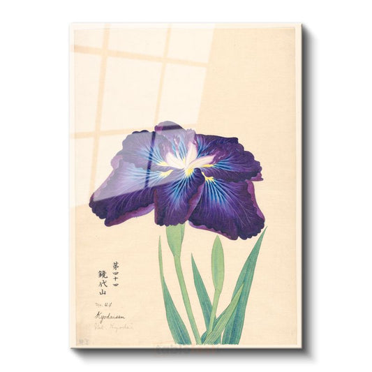 Ohara Koson - Mor İris Çiçeği Japon Tarzı İllüstrasyon Cam Tablo