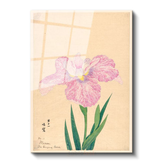 Ohara Koson - Pembe İris Çiçeği Japon Tarzı İllüstrasyon Cam Tablo