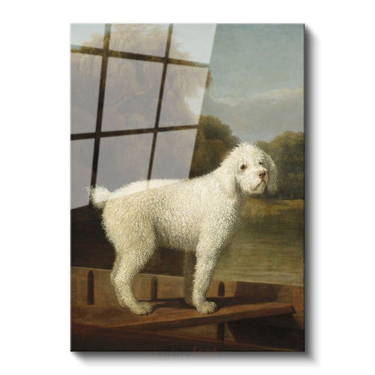 George Stubbs - Beyaz Köpek Portresi Cam Tablo